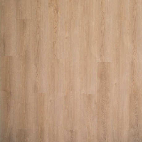 Specimen Timber - HFLOR Flooring | LX Hausys US