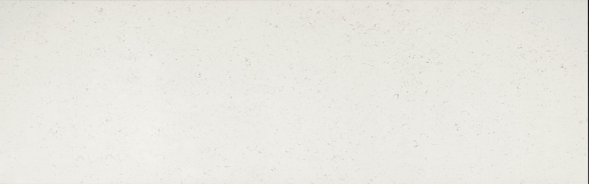 White Dove